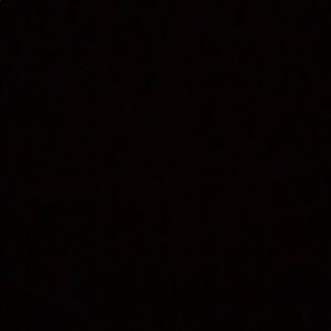 Meet your Posher, Leon